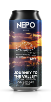 Journey to the Valley⁴