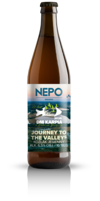 JOURNEY TO THE VALLEY⁵